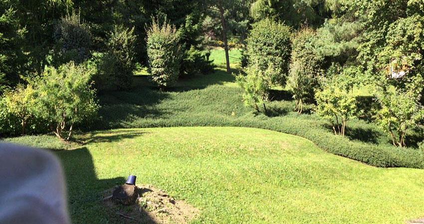 Réalisation Garden JB Care