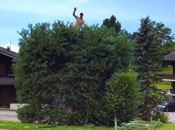 Réalisation Garden JB Care