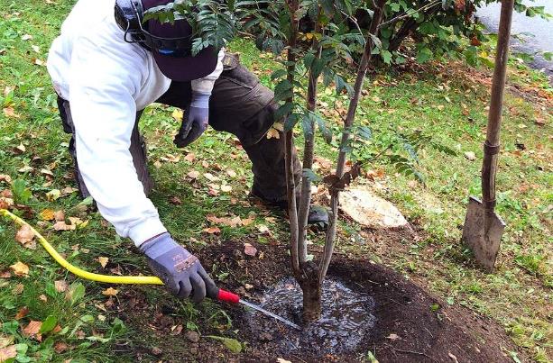 Réalisation Garden JB Care