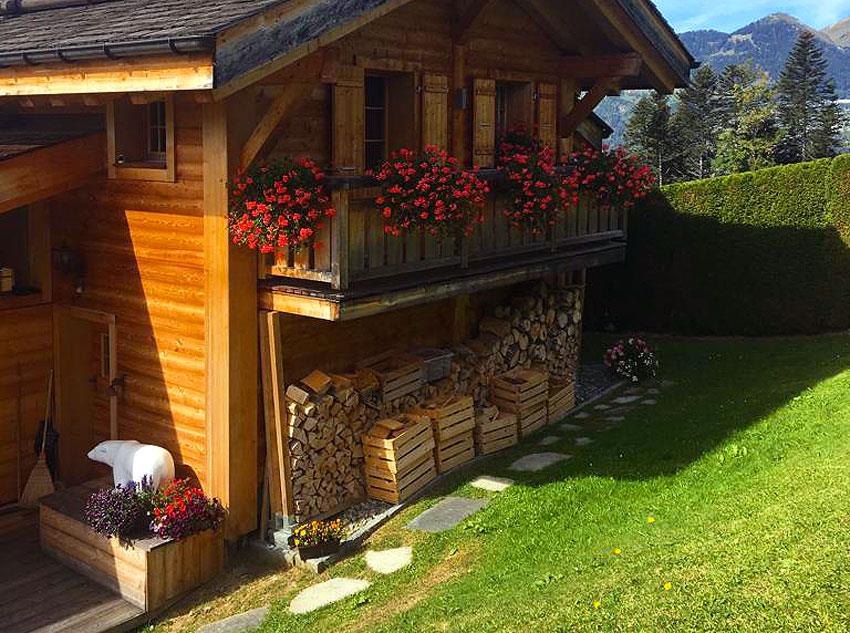 Jardin chalet entretenu
